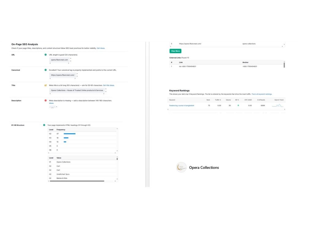Website SEO  Slide- 6