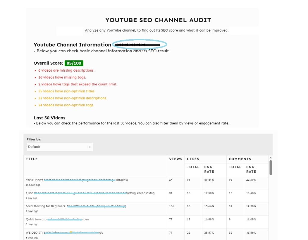 YouTube SEO -Slide 3